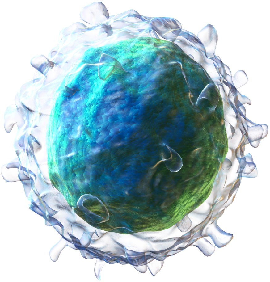 Immune 22: Engineering B Cells For Pathogen Protection | Immune